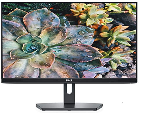 Dell SE2219H 22.0" 1920 x 1080 60 Hz Monitor