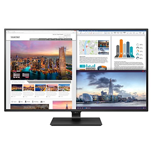 LG 43UD79-B 42.5" 3840 x 2160 60 Hz Monitor