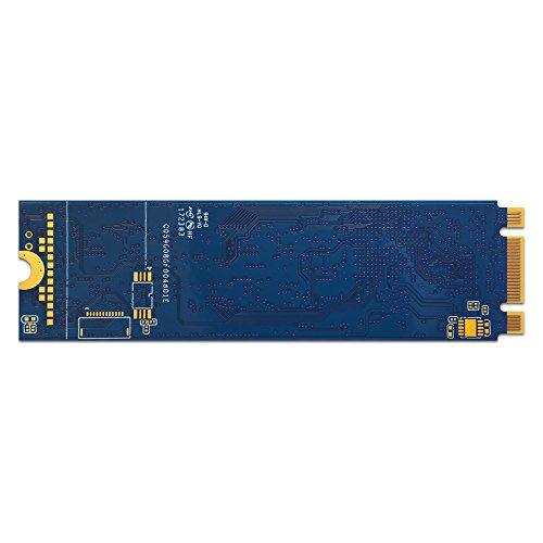 MyDigitalSSD SBX 256 GB M.2-2280 PCIe 3.0 X4 NVME Solid State Drive